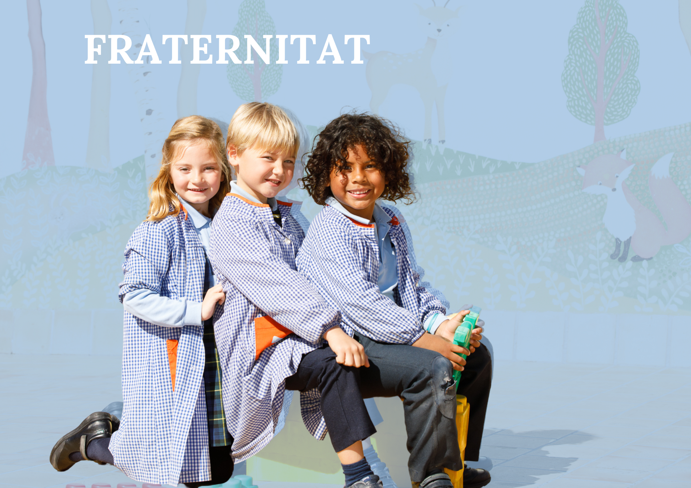 Imagen que representa el valor de la fraternidad