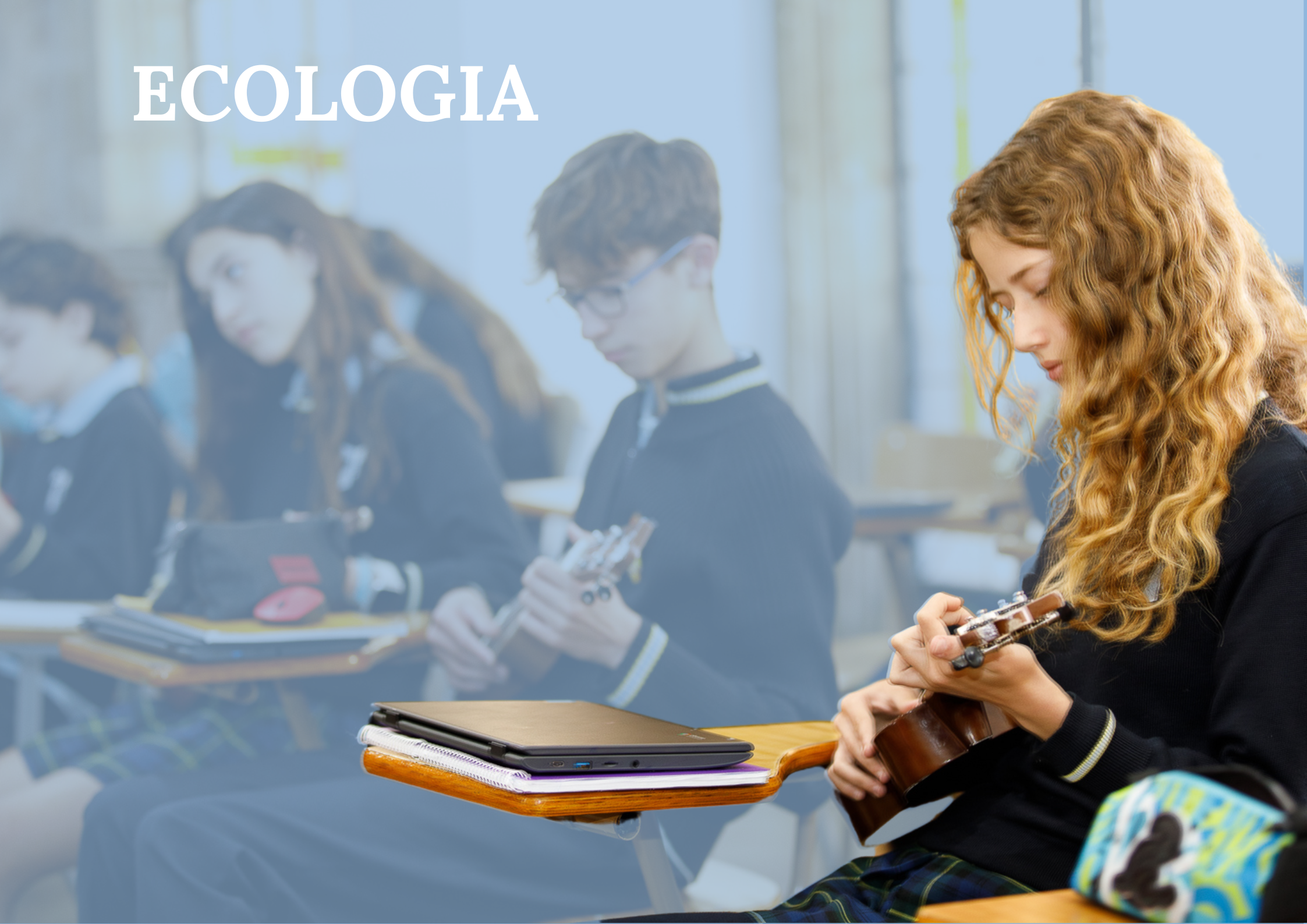 Imagen que representa el valor de la ecología